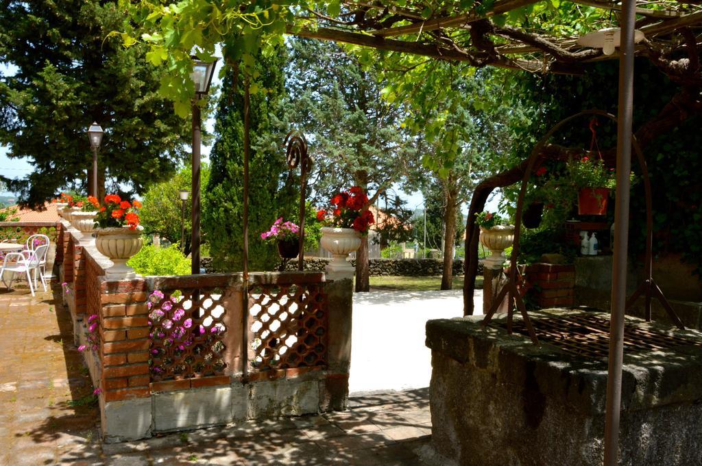 Villa Bonaccorso - Antica E Maestosa Villa Con Piscina Ai Piedi Dell'Etna Viagrande Exterior foto