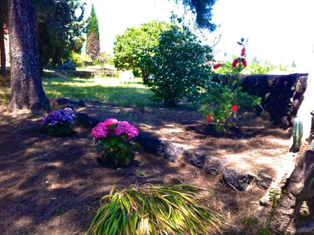 Villa Bonaccorso - Antica E Maestosa Villa Con Piscina Ai Piedi Dell'Etna Viagrande Exterior foto